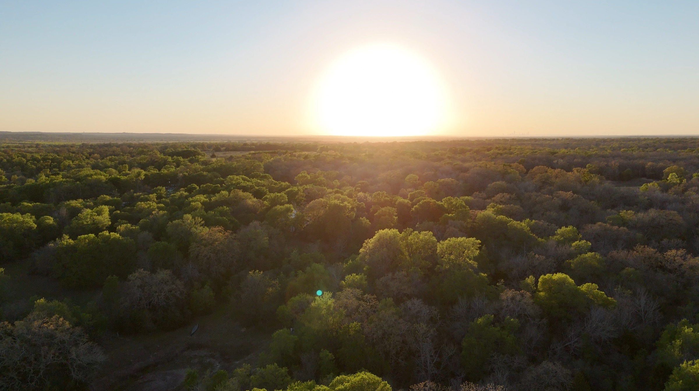 Sunset over the tree canopy at Reimagine Ranch, from above